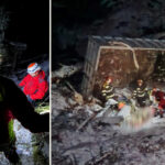 video accident mortal in judetul sibiu doi barbati au murit dupa ce camionul incarcat cu lemne cu care circulau s a rasturnat intr o rapa 6954e9583b512