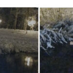 video alerta 112 urmarit de o haita de caini un barbat a cazut in lac si a ramas blocat in namol 69525985ed351