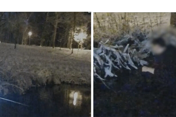 video alerta 112 urmarit de o haita de caini un barbat a cazut in lac si a ramas blocat in namol 69525985ed351