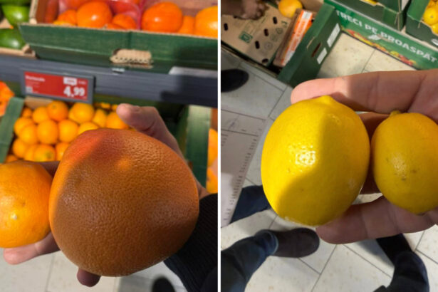 video avertisment de la directorul anpc in romania sunt vandute portocale si lamai care ar trebui date la porci 6947e48a86cf3