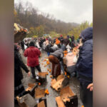 video bataie pe portocale pe o sosea din mehedinti dupa ce un tir s a rasturnat zeci de oameni au navalit sa stranga fructele de pe asfalt 692ebf7425e96