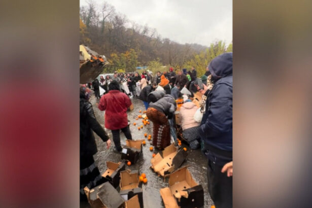 video bataie pe portocale pe o sosea din mehedinti dupa ce un tir s a rasturnat zeci de oameni au navalit sa stranga fructele de pe asfalt 692ebf7425e96