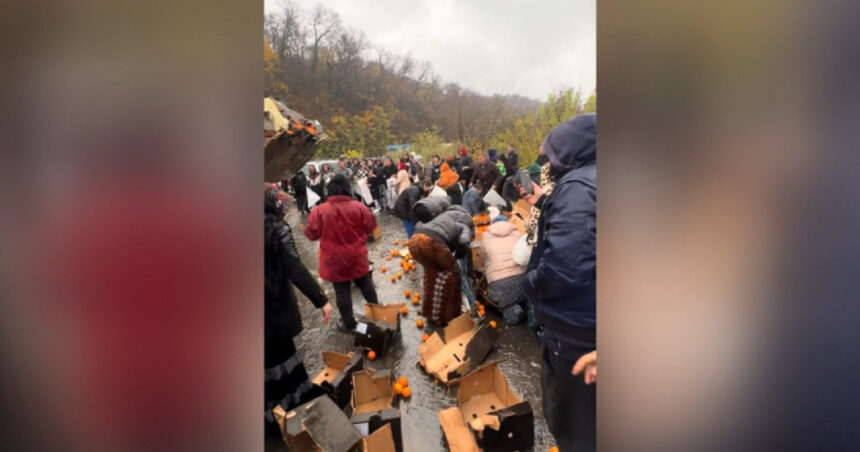 video bataie pe portocale pe o sosea din mehedinti dupa ce un tir s a rasturnat zeci de oameni au navalit sa stranga fructele de pe asfalt 692ebf7425e96