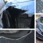 video cainii maidanezi din arad au mancat patru autoturisme peste 6 000 de euro ne va costa repararea masinii 694517587474c