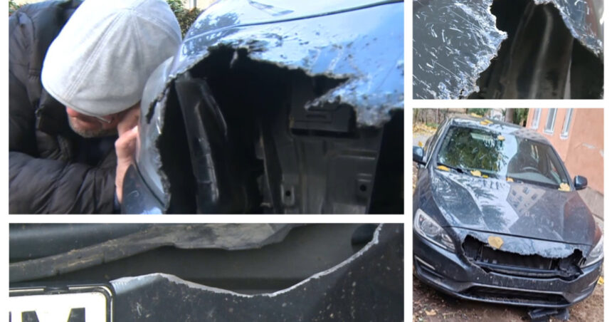 video cainii maidanezi din arad au mancat patru autoturisme peste 6 000 de euro ne va costa repararea masinii 694517587474c