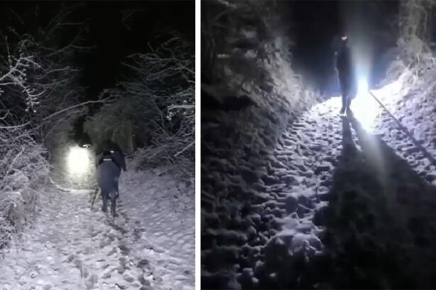 video cioban de 72 de ani gasit umbland descult in zapada jandarmii l au ajutat sa ajunga la spital 694c248a33aad