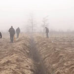 video conducte de irigatii furate in oltenia hotii au sapat transee pe 2 km pentru a le dezgropa 6947e112348b2