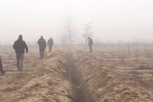 video conducte de irigatii furate in oltenia hotii au sapat transee pe 2 km pentru a le dezgropa 6947e112348b2