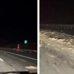 video cu impact emotional autostrada a2 blocata cu lesuri de animale traficul rutier este deviat 693a6a1845e9b