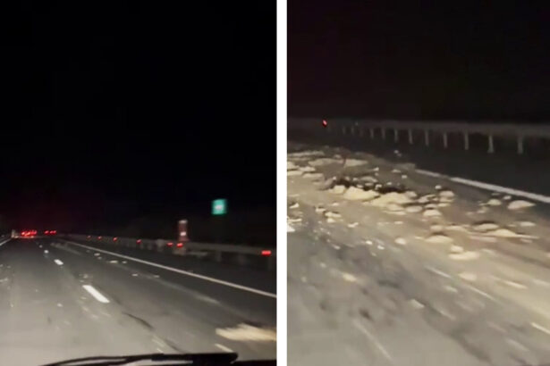 video cu impact emotional autostrada a2 blocata cu lesuri de animale traficul rutier este deviat 693a6a1845e9b