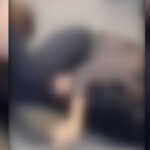 video de ce s au batut doua femei la timisoara un influencer din campania lui calin georgescu in mijlocul scandalului 69466558f0293