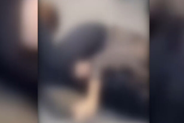 video de ce s au batut doua femei la timisoara un influencer din campania lui calin georgescu in mijlocul scandalului 69466558f0293