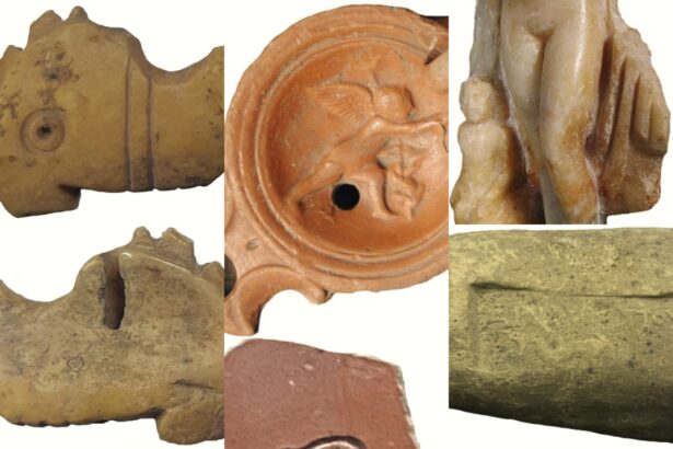 video delfinul ghidul sufletelor in antichitatea tomitana 693ca1bcc4735