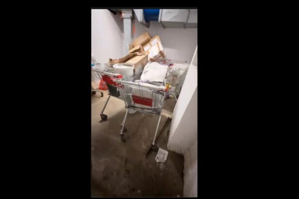 video famous waffles din city park mall calcat de horia constantinescu atentat flagrant la siguranta copiilor spune seful protectiei consumatorilor constanta 6930830fef238