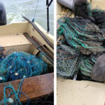 video flagrant in delta dunarii braconieri prinsi cu setci monofilament si capcane pentru raci 693a7b5f56393