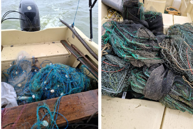 video flagrant in delta dunarii braconieri prinsi cu setci monofilament si capcane pentru raci 693a7b5f56393