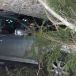 video furtuna pe valea prahovei un copac a cazut peste o masina cu trei persoane la sinaia din cauza vantului puternic 694ee582e4ca9