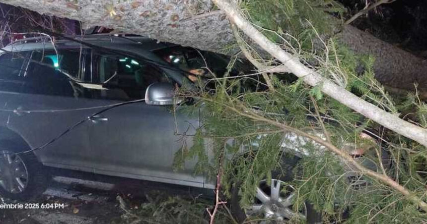 video furtuna pe valea prahovei un copac a cazut peste o masina cu trei persoane la sinaia din cauza vantului puternic 694ee582e4ca9