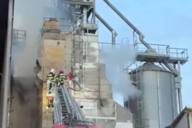 video incendiu la un uscator de cereale din tulcea ard 10 tone de seminte de floarea soarelui 692fe33910e7b