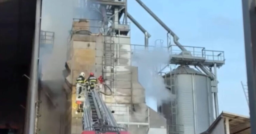 video incendiu la un uscator de cereale din tulcea ard 10 tone de seminte de floarea soarelui 692fe33910e7b