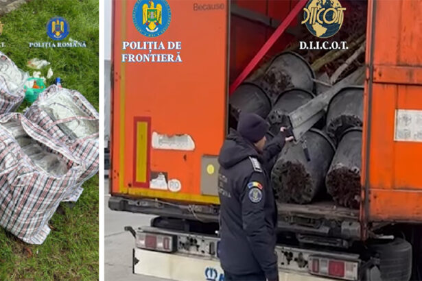 video lovitura diicot la granita traficant turc prins zeci de kilograme de droguri in papornite 6942959442dcf