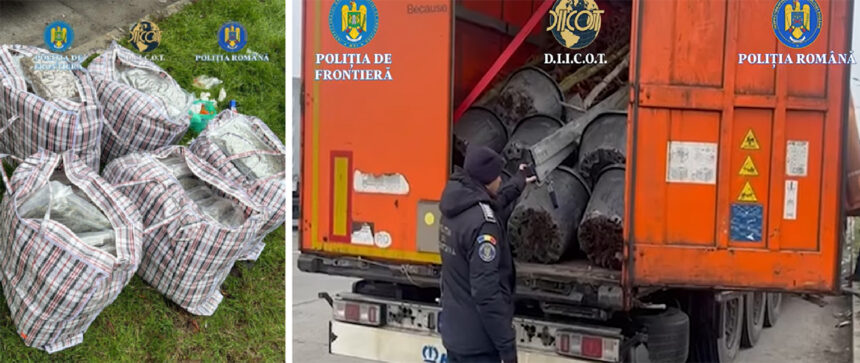 video lovitura diicot la granita traficant turc prins zeci de kilograme de droguri in papornite 6942959442dcf
