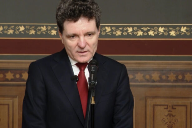 video nicusor dan nu sunt adeptul unei cedari a sistemului judecatoresc catre politic sistemul de justitie sa se autoguverneze 69417abcad5d1