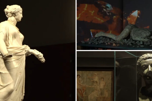 video o punte care ne leaga de trecut artefacte din pompeii expuse in romania care este orasul care gazduieste expozitia eveniment 6936692aab9f4