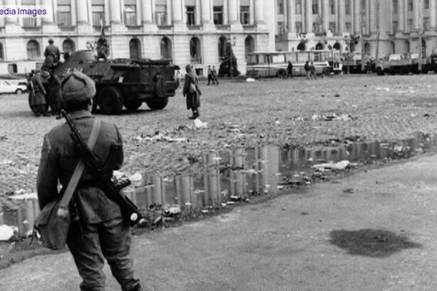 video pelerinaj pe drumul cenusii pentru eroii revolutiei de la timisoara bunica mea a fost erou martir a avut o inima mare 694684fa57c9e