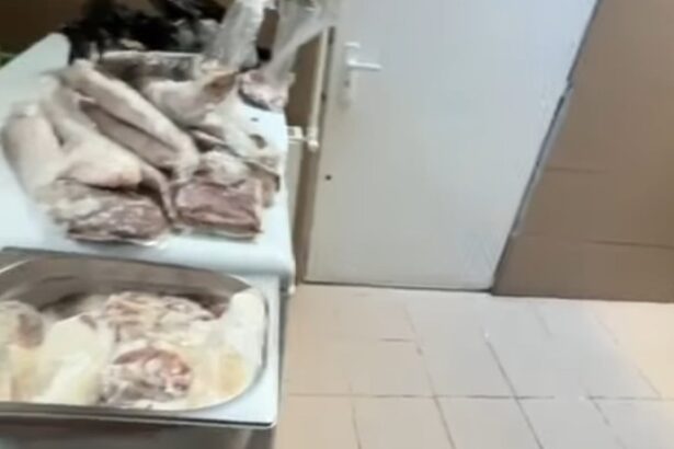 video pericol public restaurantul namo greek a fost inchis imaginile spun totul gandaci soarece mort praf tigai arse 6947ca2f11007