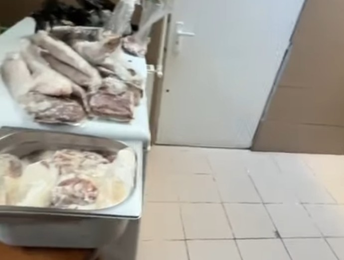 video pericol public restaurantul namo greek a fost inchis imaginile spun totul gandaci soarece mort praf tigai arse 6947ca2f11007