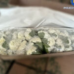 video peste 250 kg de cocaina din columbia ascunsa in transporturi de flori 4 persoane au fost trimise in judecata intr un dosar diicot 694572c296450