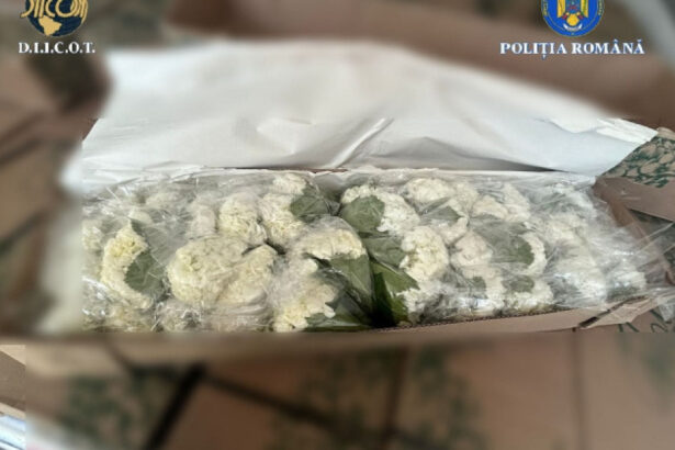 video peste 250 kg de cocaina din columbia ascunsa in transporturi de flori 4 persoane au fost trimise in judecata intr un dosar diicot 694572c296450