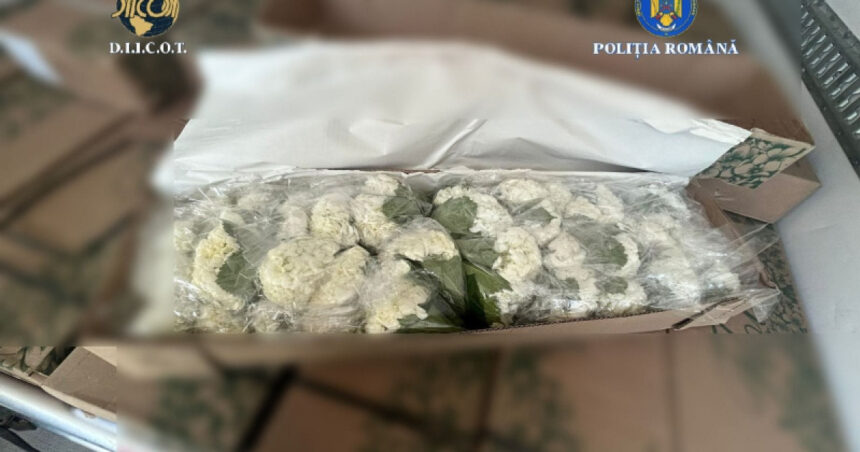 video peste 250 kg de cocaina din columbia ascunsa in transporturi de flori 4 persoane au fost trimise in judecata intr un dosar diicot 694572c296450