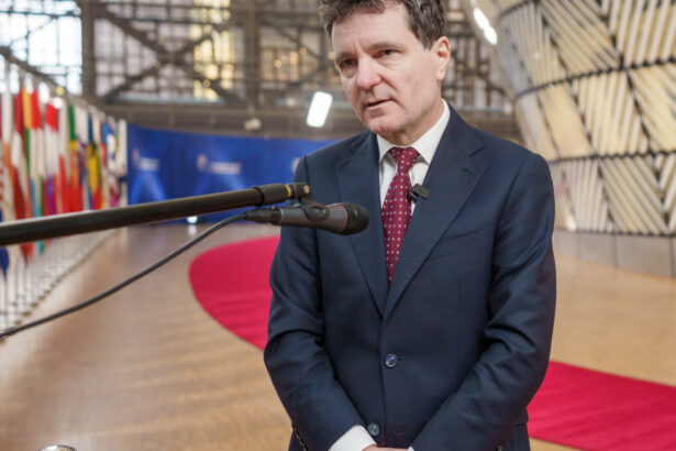 video reactia lui nicusor dan la propunerile miruta si darau pentru aparare si economie din partea usr 69442140911ed