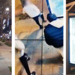 video statia de autobuz de pe pe bulevardul alexandru lapusneanu vandalizata autorii identificati de politistii locali 693bfe230e5b9