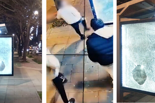 video statia de autobuz de pe pe bulevardul alexandru lapusneanu vandalizata autorii identificati de politistii locali 693bfe230e5b9