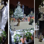 video tatal lui sebi a impodobit bradul la mormantul fiului scrisoarea cutremuratoare pe care i a transmis o tanarului disparut 694119e45ae6d