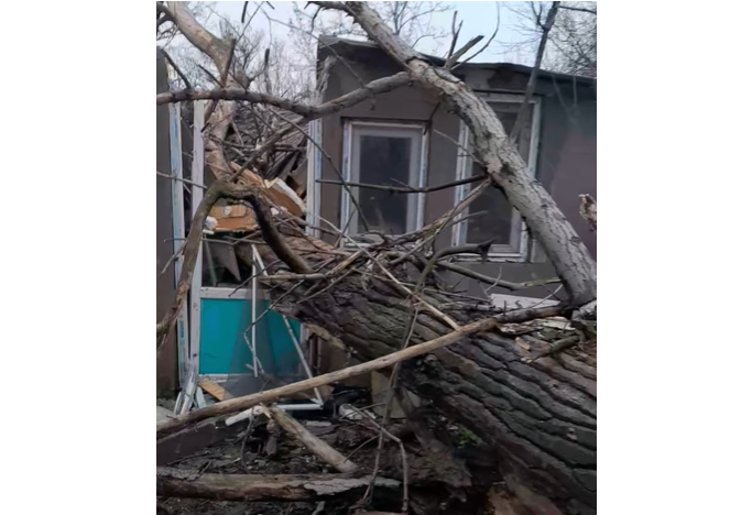 video tragedie in ziua de craciun un copac a cazut peste casa unei femei din agigea 694d2c23617cf