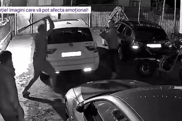 video un barbat a intrat cu toporul intr o casa l a atacat pe proprietar si a distrus doua masini imagini de pe camera de supraveghere 694e32410b876