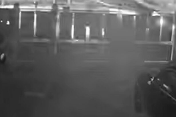 video un tanar de 19 ani din dolj a murit dupa ce a pierdut controlul masinii si s a izbit de un cap de pod accidentul surprins de camere 693fbfc42d6ce