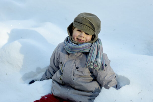 video vremea se raceste brusc si vin ninsorile meteorologii anunta unde va fi viscol si unde stratul de zapada ajunge la 15 20 de centimetri 694916a3cadd2