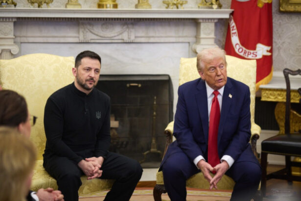 zelenski anunta o intalnire cu donald trump kievul mizeaza pe un progres privind acordul de pace inainte de anul nou 694e43cc42297