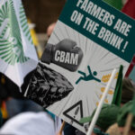 agricultorii belgieni protesteaza cu cartofi prajiti in fata parlamentului european 695fd7caa28b4