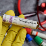 alerta in romania primul caz de virus chikungunya confirmat la un barbat venit din africa trebuie sa ramanem linistiti 697c7a1aada9e