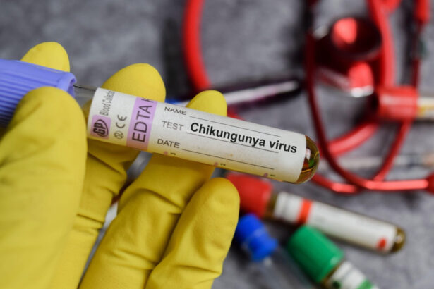 alerta in romania primul caz de virus chikungunya confirmat la un barbat venit din africa trebuie sa ramanem linistiti 697c7a1aada9e