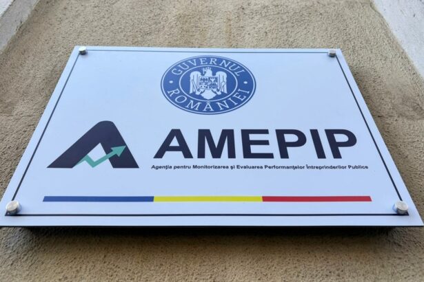 amepip incepe controalele la 847 de autoritati publice pentru verificarea respectarii procedurilor de selectie 69600e1ce004d