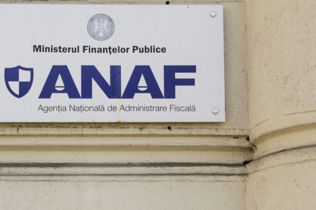 anaf pregateste modificarea formularului de inscriere a persoanelor fizice in registrul ro e factura dupa ordonanta trenulet 696e0773e81a0