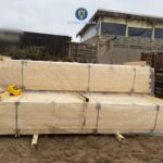 apel prin serviciul 112 iata ce au descoperit politistii intr o curte din vama veche s a deschis dosar penal 697dd07a37855