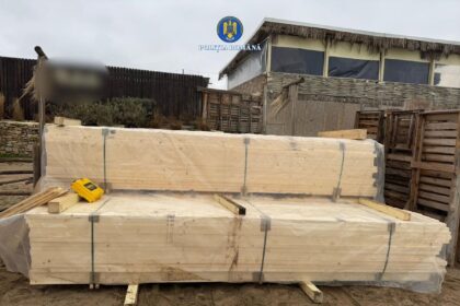 apel prin serviciul 112 iata ce au descoperit politistii intr o curte din vama veche s a deschis dosar penal 697dd07a37855